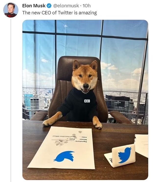 New CEO